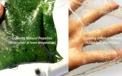 海藻包裝：可持續發展的未來？